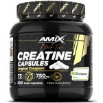 Amix Black Line Creatine Creapure Capsules 300 kapslí – Zboží Mobilmania