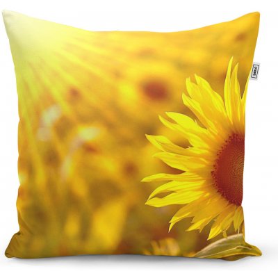 Sablio Polštář Slunečnice 3 40x40 – Hledejceny.cz