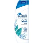 Head & Shoulders 2in1 Instant Relief šampon 400 ml – Hledejceny.cz