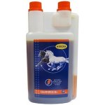 Havens EquiForce B+ Liquid 1 l – Hledejceny.cz