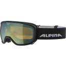 Lyžařské brýle Alpina Scarabeo S HM