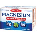 Terezia Magnesium + vitamin B6 a meduňka 30 kapslí – Hledejceny.cz