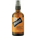 Proraso Wood and Spice olej na vousy 100 ml – Hledejceny.cz