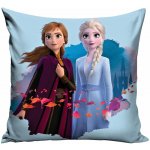 Exity Oboustranný polštář Ledové království Frozen motiv Anna & Elsa 38x38 – Zboží Dáma