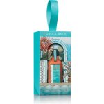 Moroccanoil Treatment Moroccanoil Treatment Light olej pro jemné barvené vlasy 25 ml – Hledejceny.cz