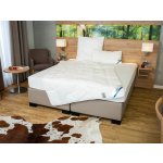 BeCo Letní přikrývka Proneem s ochranou proti roztočům 135x200 – Zboží Dáma