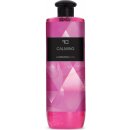 Dedra La collection privée sprchový gel Calming 500 ml