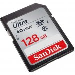 SanDisk SDXC Class 10 256 GB SDSDUNC-256G-GN6IN – Zboží Mobilmania