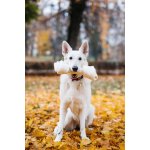 PetsUp Buvolí uzel přírodní 33 cm – Sleviste.cz