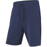 Crivit pánské funkční kraťasy Café modrá – Zbozi.Blesk.cz