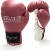 Boxerské rukavice Evolution Basic PCV