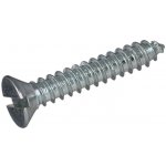 Šroub do plechu DIN 7972C ocel 2,9x13 ZB – Hledejceny.cz