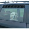 Potřeby pro cestování se psem Trixie automřížka do okna 24-70 cm