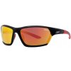Sluneční brýle Zippo OS31-01