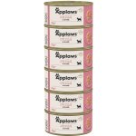 Applaws Cat Tuňák s krevetami 6 x 156 g – Hledejceny.cz