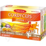Terezia Company Cordyceps active kapslí 60 – Hledejceny.cz