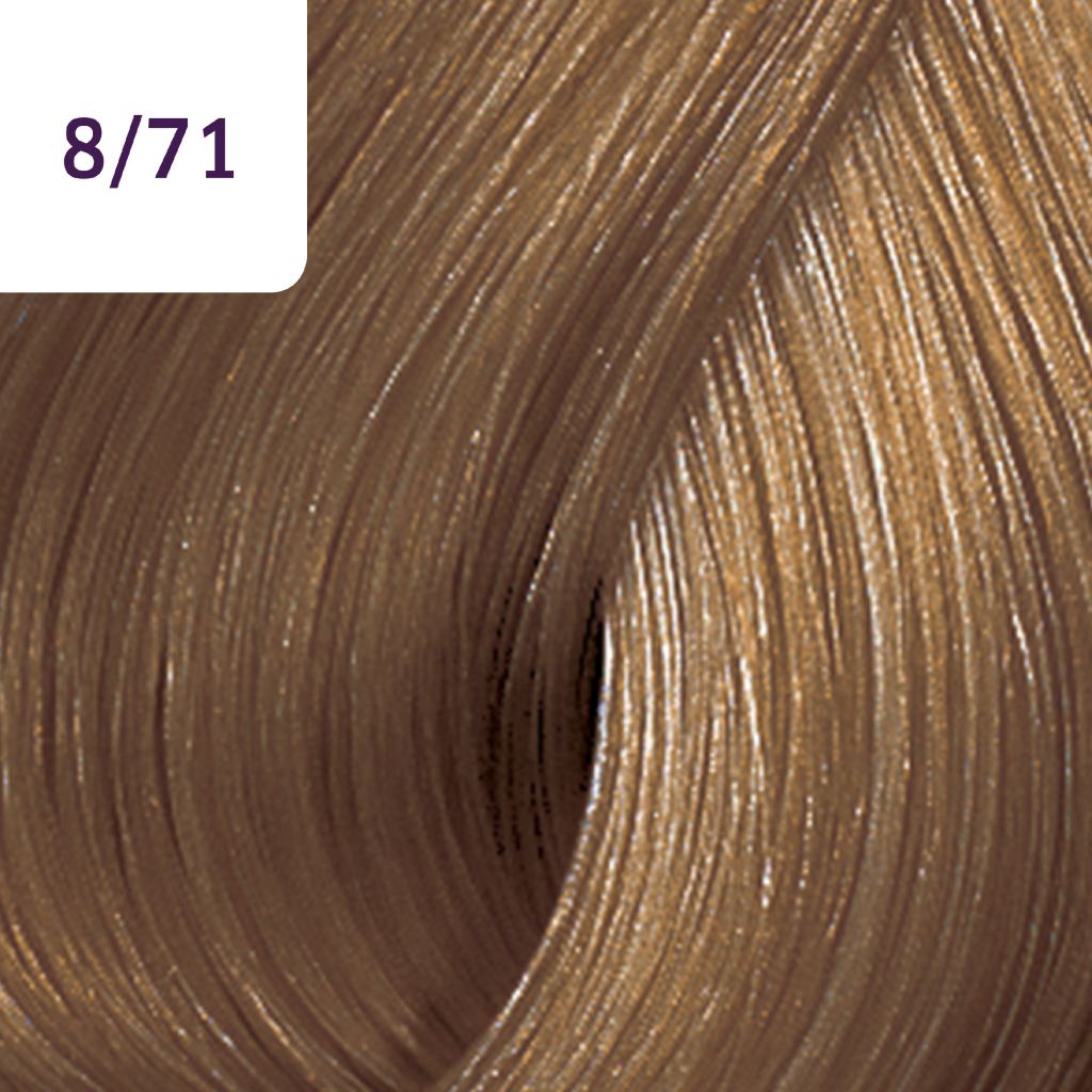 Wella Color Touch Deep Browns barva na vlasy 8/71 60 ml