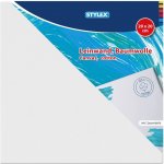 STYLEX Malířské plátno 20 x 20 cm – Hledejceny.cz