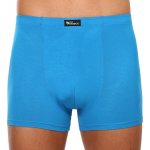 Bambusové šité boxerky s kratší nohavičkou a potiskem ecobamboo světle modré s potiskem 73124P – Zboží Dáma