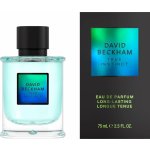 David Beckham True Instinct parfémovaná voda pánská 75 ml
