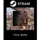Hra na PC Tiny Echo