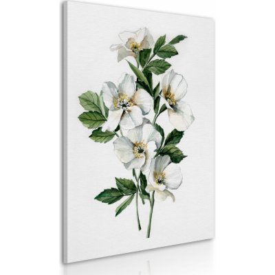 Obraz na plátně WHITE FLOWERS I. různé rozměry Ludesign ludesign obrazy: 70x50 cm – Zbozi.Blesk.cz