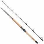 Penn Regiment IV Pro Boat 2,10 m 30-50 lb 2 Díly – Hledejceny.cz