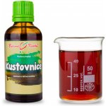 Bylinné kapky BIO Kustovnice goji tinktura 50 ml – Hledejceny.cz