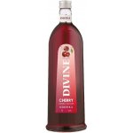 Boris Jelzin Kirsch 16,6% 1 l (holá láhev) – Zboží Dáma