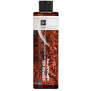 Bodyfarm sprchový gel Santálové dřevo 250 ml