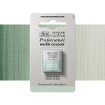 Winsor & Newton Professional Akvarelová barva půlpánvička Terre Verte – Sleviste.cz