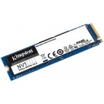 Kingston NV1 1TB, SNVS/1000G – Zboží Živě