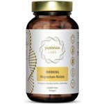 Sibyl Magnesium malát 90 kapslí – Hledejceny.cz