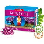 Terezia Company Klouby fit 60 kapslí – Hledejceny.cz