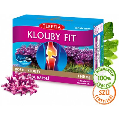 Terezia Company Klouby fit 60 kapslí – Hledejceny.cz