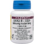 DBX2.9 dahuang mudan tang 36 tablet Pragon – Hledejceny.cz