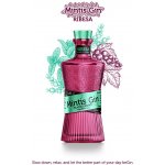 Mintis Gin Blackcurrant 41,8% 0,7 l (holá láhev) – Zboží Dáma