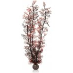 BiOrb Sea Fan karmínová 49 cm – Hledejceny.cz