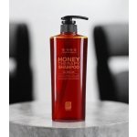 Daeng Gi Meo Ri Honey Therapy Shampoo 500 ml – Zboží Mobilmania