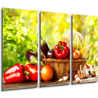 Obraz 3D třídílný - 105 x 70 cm - Fresh Organic Bio Vegetable in a Basket over Nature Background Čerstvé organické bio zeleniny v koši nad přírodou pozadí – Zbozi.Blesk.cz