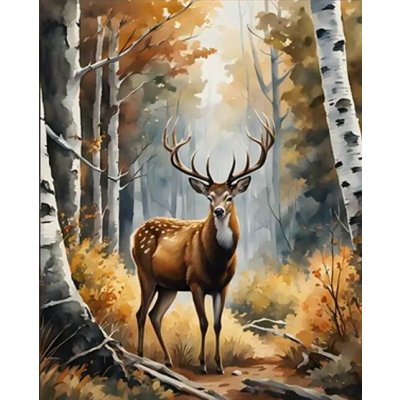 NORIMPEX Diamantové malování Pán lesa 30 x 40 cm – Sleviste.cz