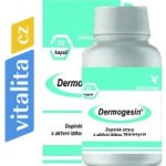 Gesmed Biotec Dermogesin 60 kapslí – Hledejceny.cz