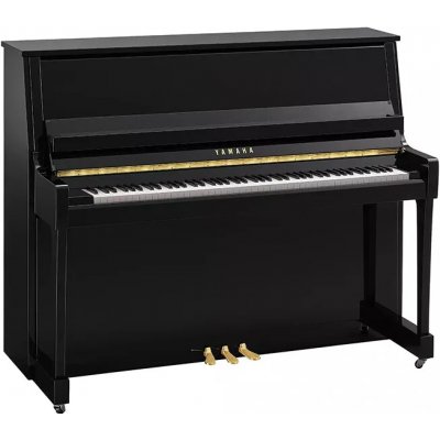 Yamaha B30 PE – Zboží Dáma