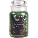 Village Candle Forbidden Forest 602 g – Zboží Mobilmania