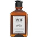 Depot NO. 101 Normalizing Daily Shampoo 250 ml