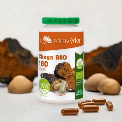 Zdravý den Chaga BIO 180 kapslí – Hledejceny.cz