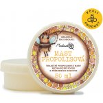 Medarek Propolisová mast 50 ml – Hledejceny.cz