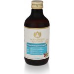 Maharishi Ayurveda Sirup Prana-Rasayana Liquid 200 ml – Hledejceny.cz
