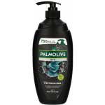 Palmolive Men Refreshing sprchový gel 750 ml – Zboží Mobilmania