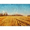 Tapety WEBLUX Fototapeta papír Impressionism oil painting on canvas nature landscape motifs wall art print. Countryside beauty. Village. Contemporary artwork for creating poster 360 x 266 cm